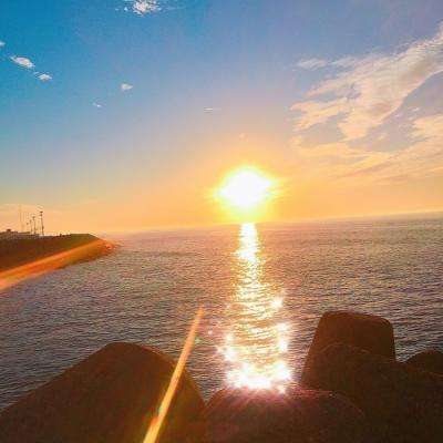 乐鱼娱乐appapp下载