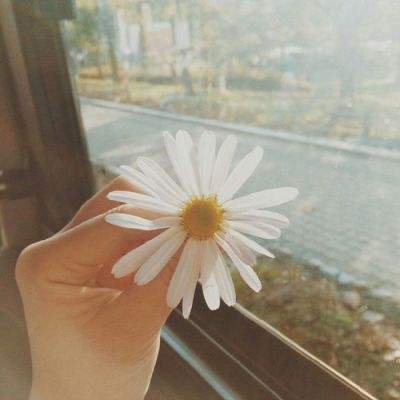 江南官方网站下载手机app下载